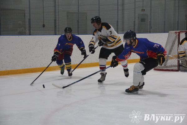 Великолукские хоккеисты одержали победу на домашнем льду (ФОТО)