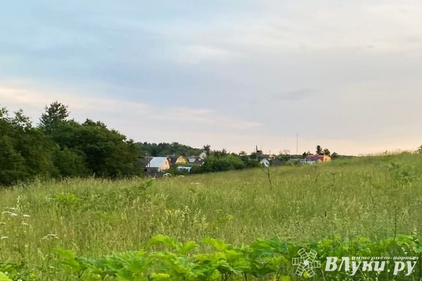 В Псковской области разработают программу «Псковский гектар»