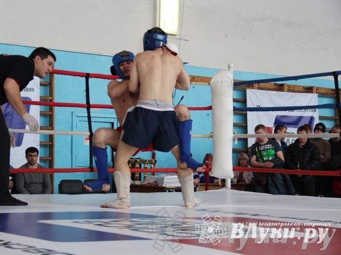 Чемпионат Псковской области по ММА