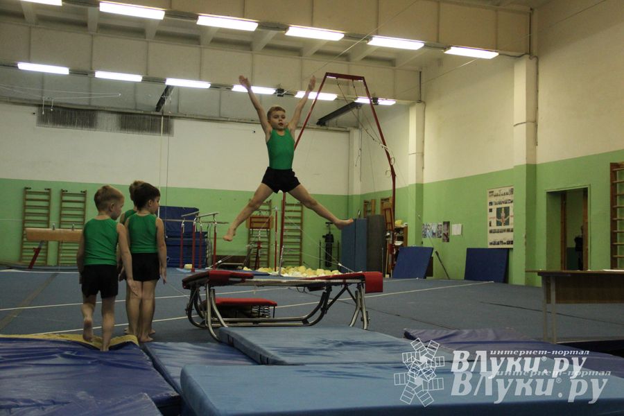 В Великих Луках состоялось Первенство по командной гимнастике (фото)