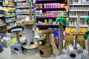 «Zooбастики»: подарите праздник своим любимцам! (ФОТО+ВИДЕО)