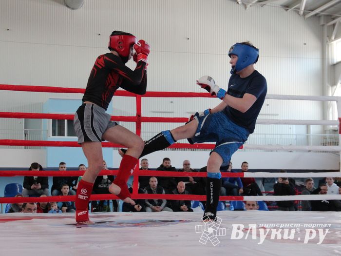 В Великих Луках проходит открытый кубок по смешанному боевому единоборству ММА (ФОТО) (12+)