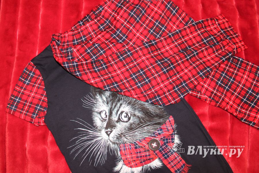 Кот Барон приготовил подарки для женщин