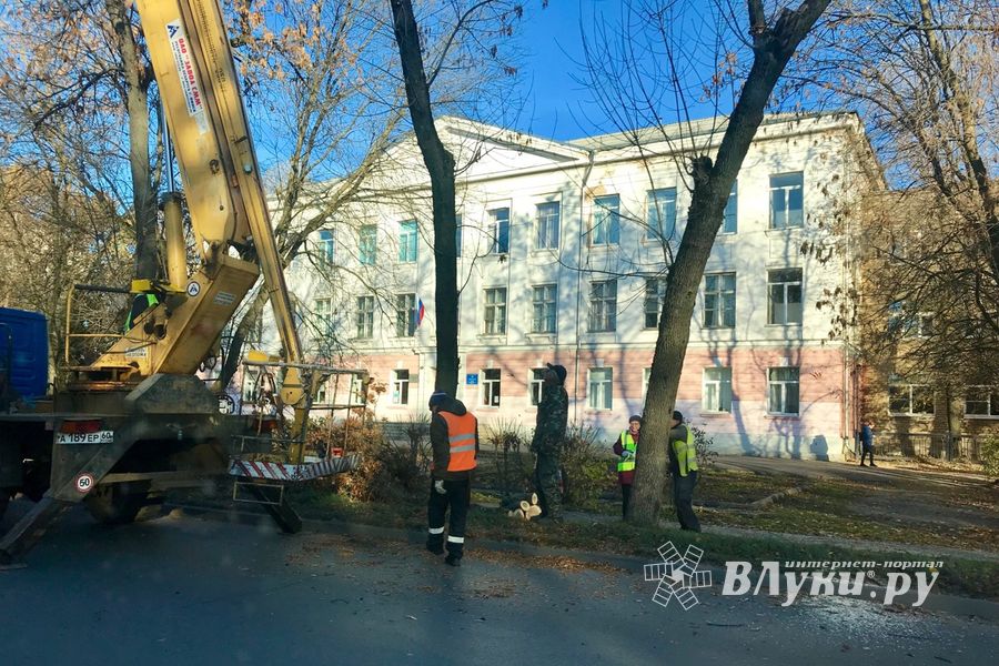 В Великих Луках обрезают тополя (ФОТО)