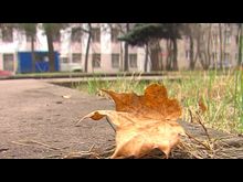 Импульс-ТВ: Приметы