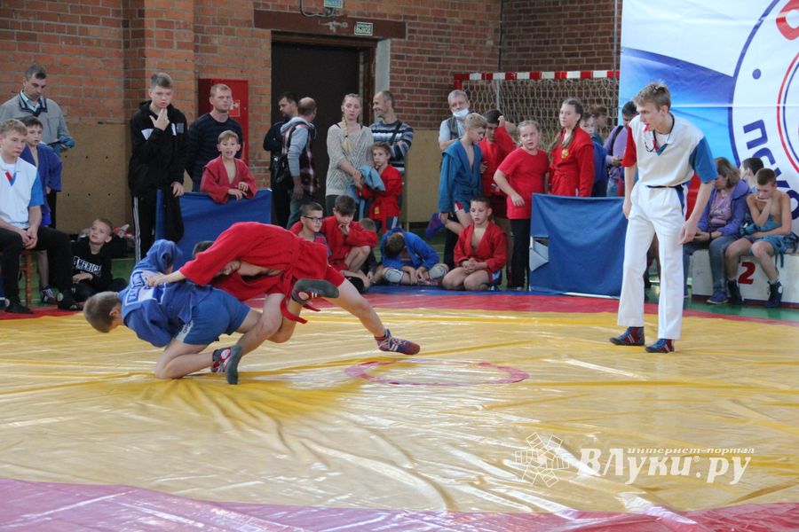 Фестиваль боевых искусств прошел в Великих Луках (ФОТО)