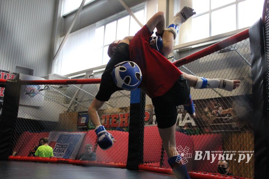 В Великих Луках прошел кубок по смешанному боевому единоборству (ФОТО)