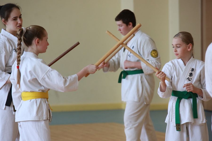 Ученики школы Дзюшин-рю кэмпо каратэ постигали искусство кобудзюцу (ФОТО)