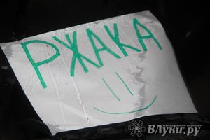 В Великих Луках состоялась презентационная игра «Дозор» (фото)