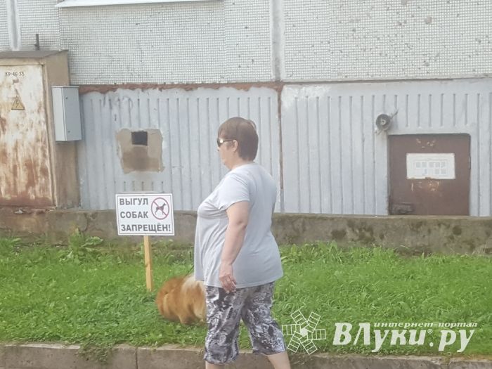 ФОТОФАКТ: Тяжелые отношения собак и газонов 