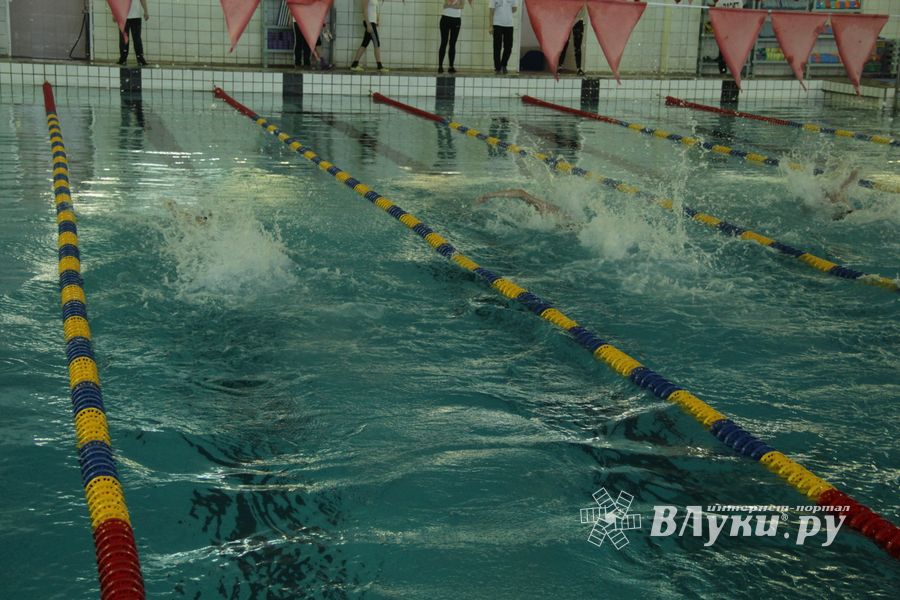 Первый «Быстрый кашалот» в Великих Луках  (фото)
