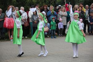 В Великих Луках начали отмечать День города (ФОТО)