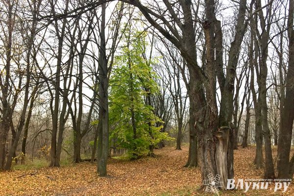 Вместо климатической зимы – волна околорекордного тепла