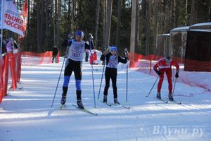 Всероссийская массовая лыжная гонка «Лыжня России 2015» состоялась в Великолукском районе (фото)