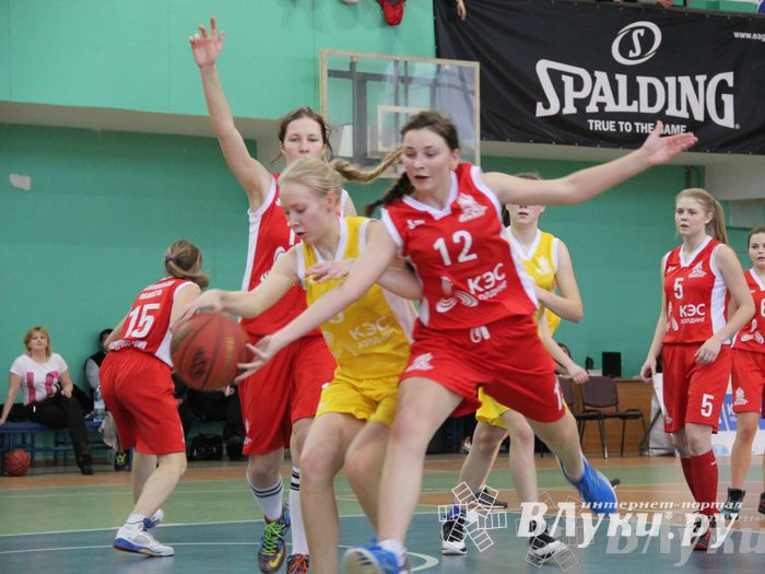 Чемпионат ШБЛ «КЭС-БАСКЕТ» сезона 2013-2014 гг. Псковской области