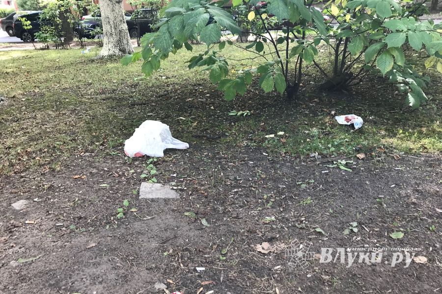 Парк Пушкина: «... А вкруг меня глухое запустенье...» (ФОТО)