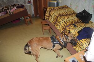 В Великих Луках проходит акция «Сообщи где торгуют смертью» (ФОТО)