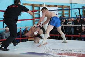 Чемпионат Псковской области по ММА
