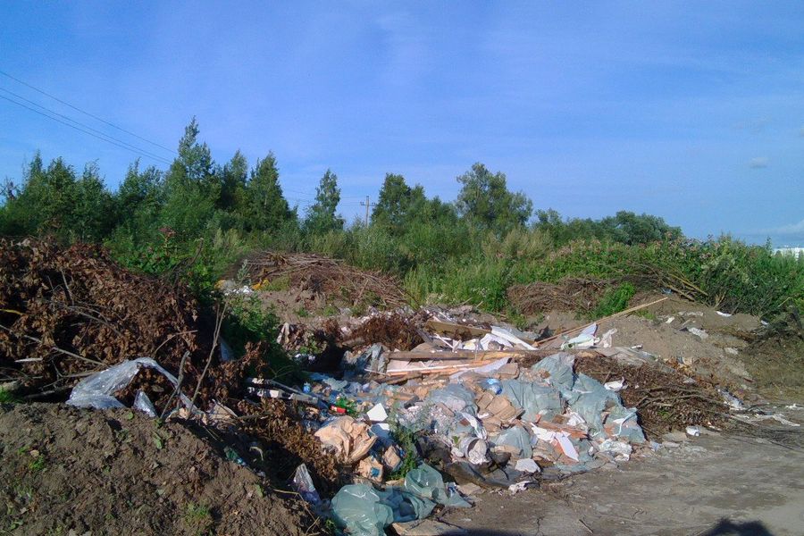 В Великих Луках, на берегу Лазавицы, сваливают кресты, венки и мебель (ФОТО)