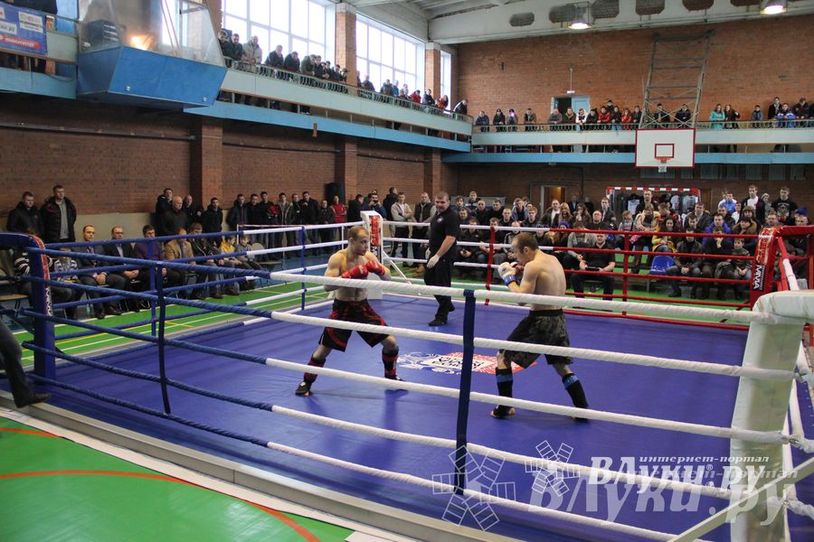 В Великих Луках прошел межрегиональный Открытый Кубок по смешанному боевому единоборству (фото)