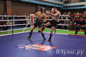 В Великих Луках прошел межрегиональный Открытый Кубок по смешанному боевому единоборству (фото)