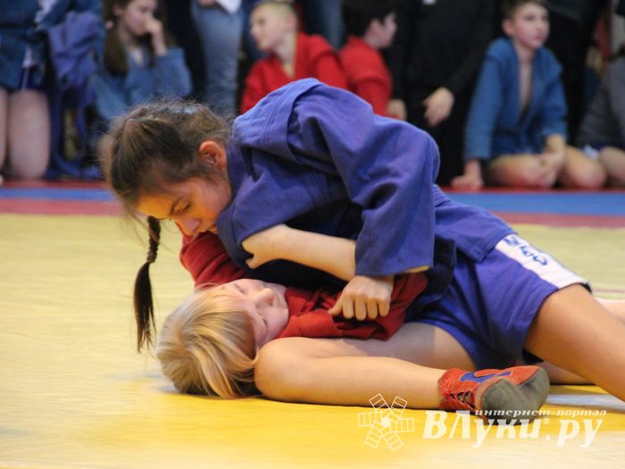 Открытый турнир по самбо «Новогодняя звезда-2019» прошел в Великих Луках (ФОТО)