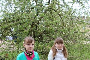 Фото с сайта vk.com (группа заповедника)