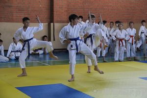 Турнир по каратэ