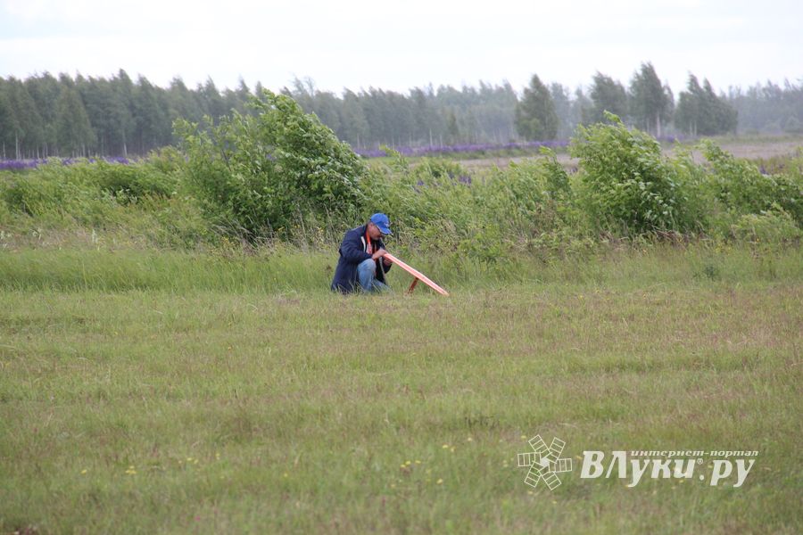 В Великих Луках проходит 7-й Фестиваль авиамодельного спорта (ФОТО)