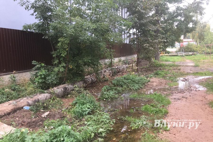 В Великих Луках забил «гейзер», по словам коммунальщиков, «рядовая ситуация» (ФОТО+ЗВУК)