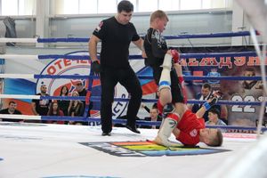 Открытый кубок по смешанному боевому единоборству ММА прошел в Великих Луках (ФОТО)