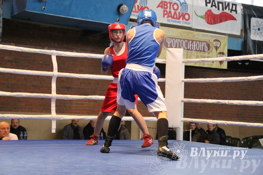 16-й Международный турнир по боксу (фото)