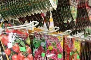 «Золотая Репка» удивляет! (ФОТО)