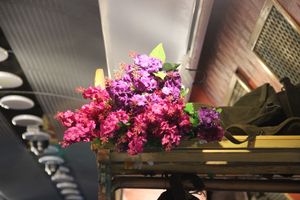 Великолучане знакомятся с «Поездом Победы» (ФОТО)