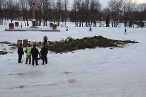 Главная городская ёлка отправилась на свалку (ФОТО)