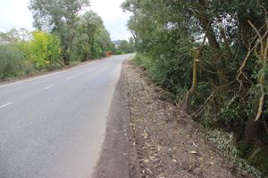 На Новосокольнической расширили и очистили обочину (ФОТО)