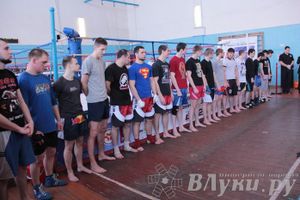 Чемпионат Псковской области по ММА