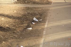 Город в ожидании субботника