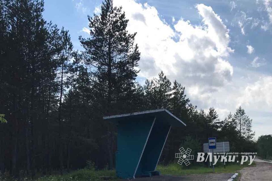 Особенности национальной дороги (ФОТО)