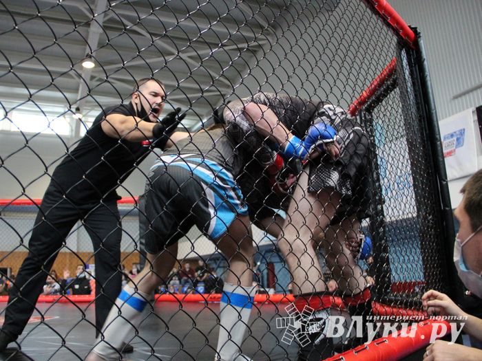 В Великих Луках прошел кубок по смешанному боевому единоборству (ФОТО)