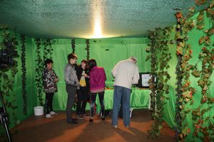 На столе справа инкубатор, в котором выводятся бабочки