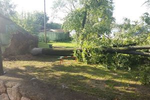 Ураган в Псковской области валил деревья и срывал крыши (ФОТО)