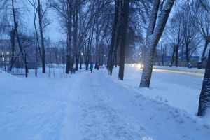 © ВЛуки.ру