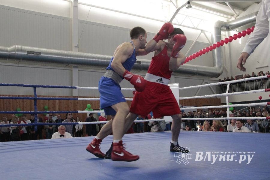 Матчевая встреча по боксу Великие Луки —Псков — Грозный (ФОТО)