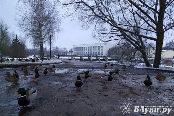 Потепление прогнозируют на Северо-Западе России