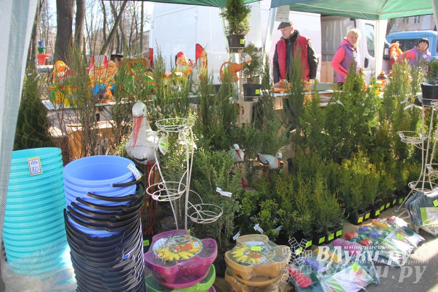 Универсальная торговая ярмарка «Весна-2015» прошла в Великих Луках (фото)