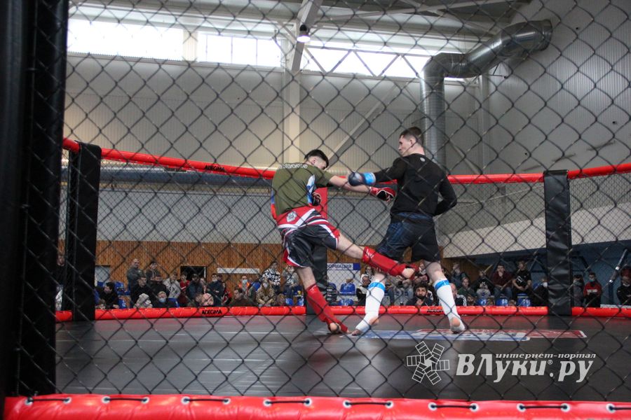 В Великих Луках прошел кубок по смешанному боевому единоборству (ФОТО)