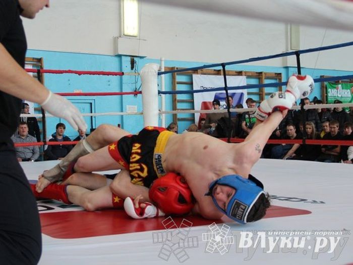 Чемпионат Псковской области по ММА