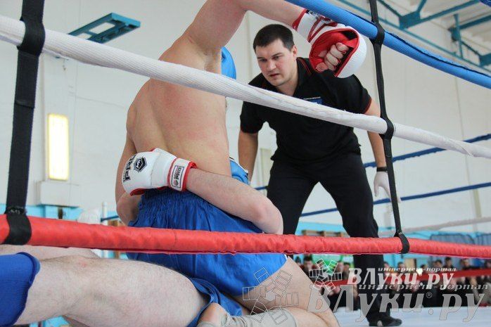 Чемпионат Псковской области по ММА