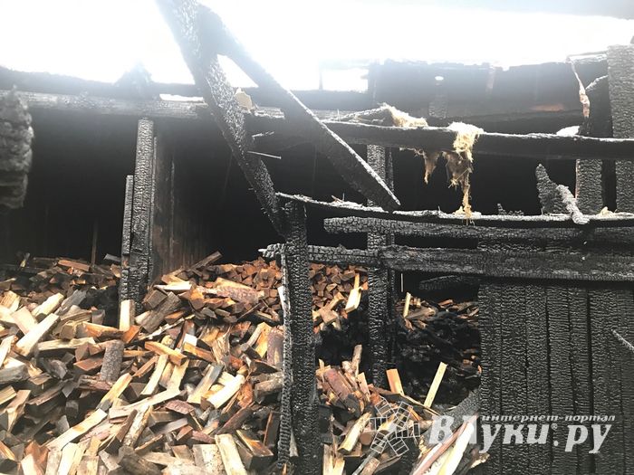 В результате поджога в Великих Луках пострадал 1 человек (ФОТО)